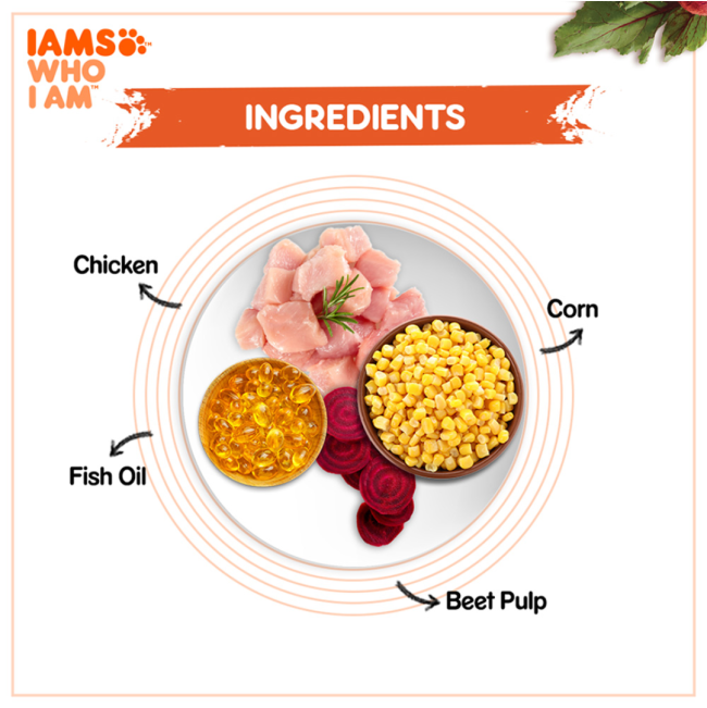 Iams Adult Chicken Cat Food ingredients