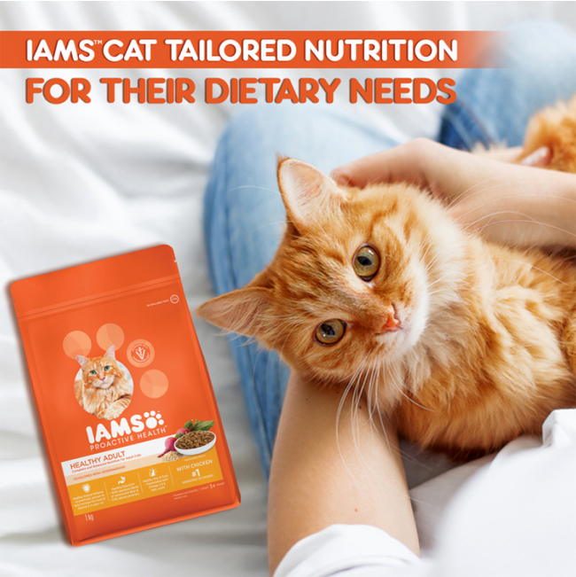 Iams Adult Chicken Cat Food cat tailored nutrition