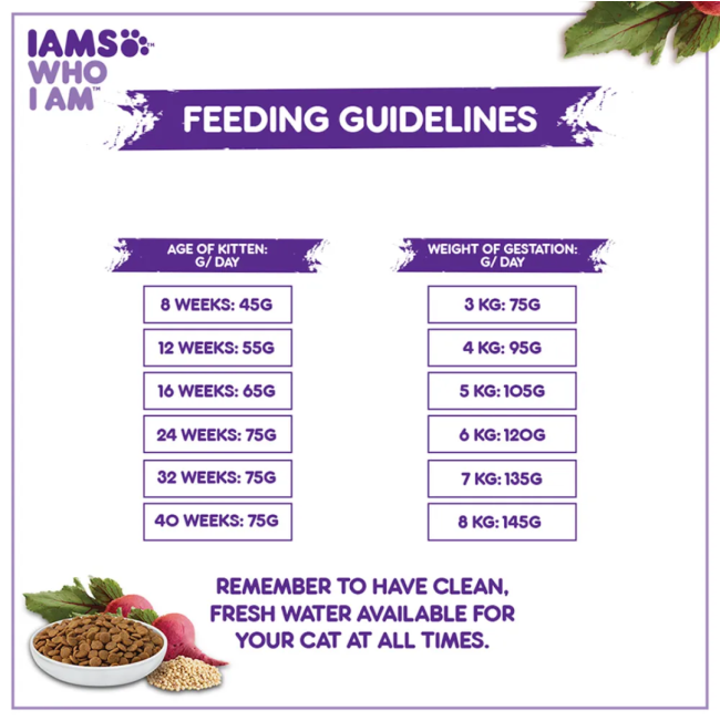Iams Mother and Kitten Dry Cat Food feeding guideline
