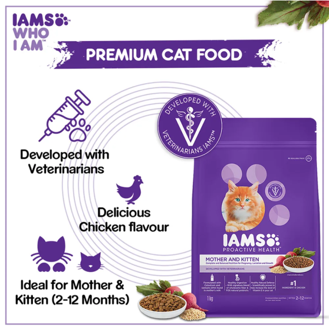 Iams Mother and Kitten Dry Cat Food cat premium food