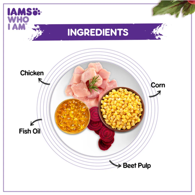 Iams Mother and Kitten Dry Cat Food main ingredients