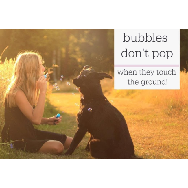 Pet Qwerks Doggy Peanut Butter IncrediBubbles don't pop when hitting the ground