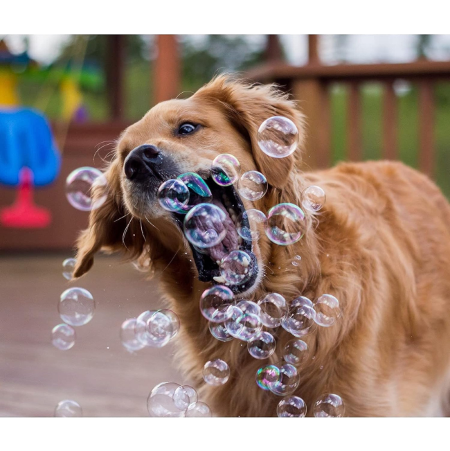 Pet Qwerks Doggy Peanut Butter IncrediBubbles lifestyle with golden retriever