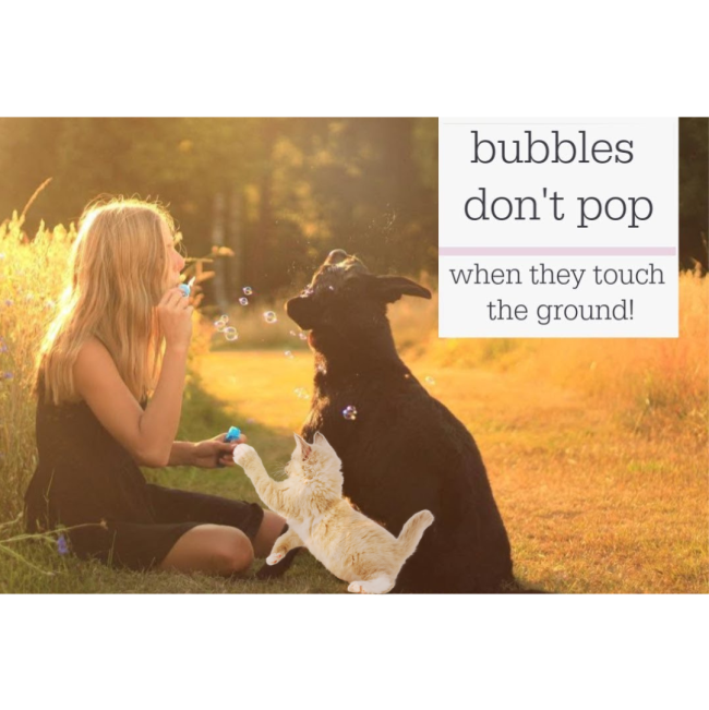 Pet Qwerks Kitty Catnip IncrediBubbles don't pop when touching the ground