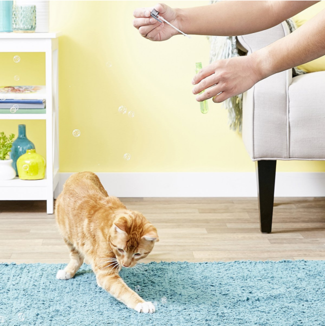 Pet Qwerks Kitty Catnip IncrediBubbles lifestyle with ginger cat and bubbles
