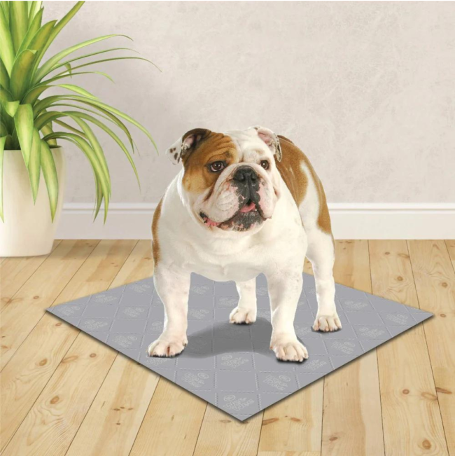 Wee-Wee Premium Patch Washable Dog Pee Pads with white and brown bulldog