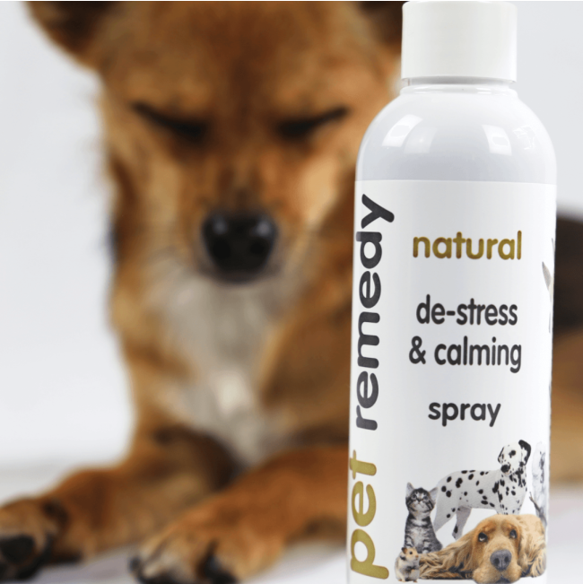 Pet Remedy Calming Spray with dog in picture