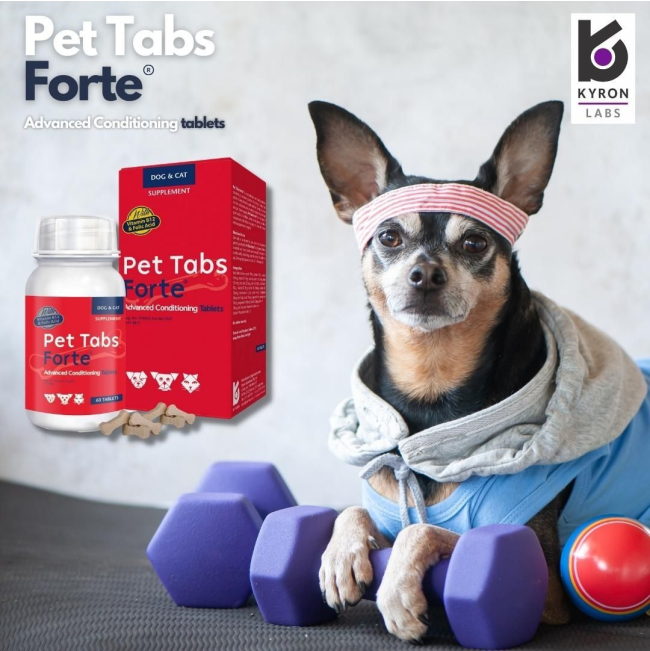 Pet Tabs Forte Advanced with advacned conditioning