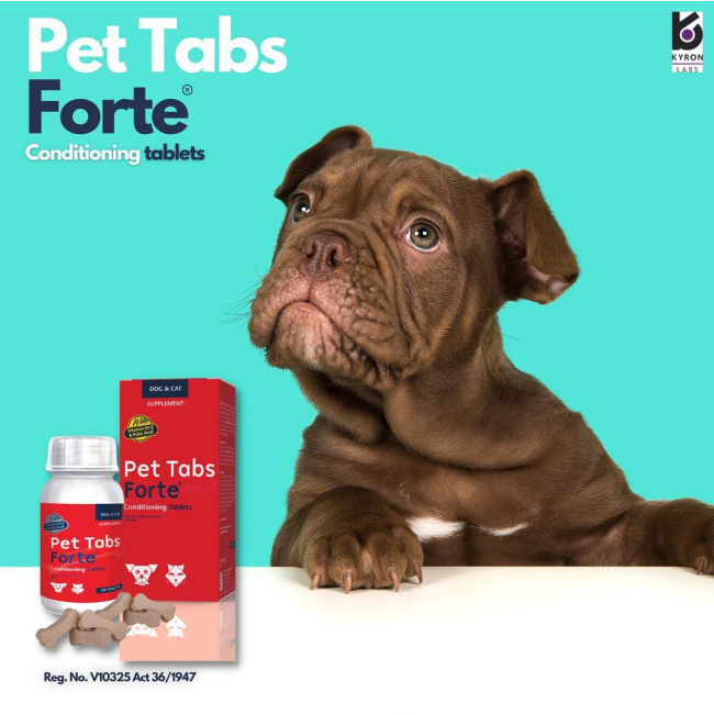 Pet Tabs Forte Advanced with brown puppy