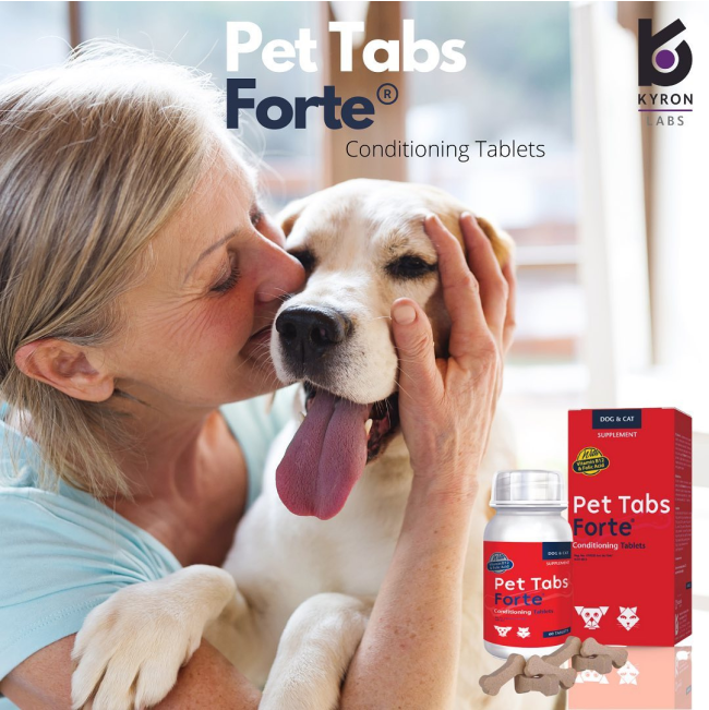 Pet Tabs Forte Advanced with Labrador dog