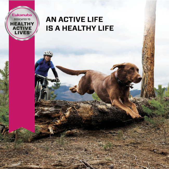 Eukanuba Adult Large Breed Dog Food active life is a healthy life