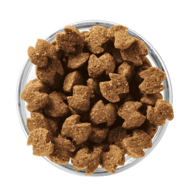 Eukanuba Adult Medium Breed Dog Food actual pellets
