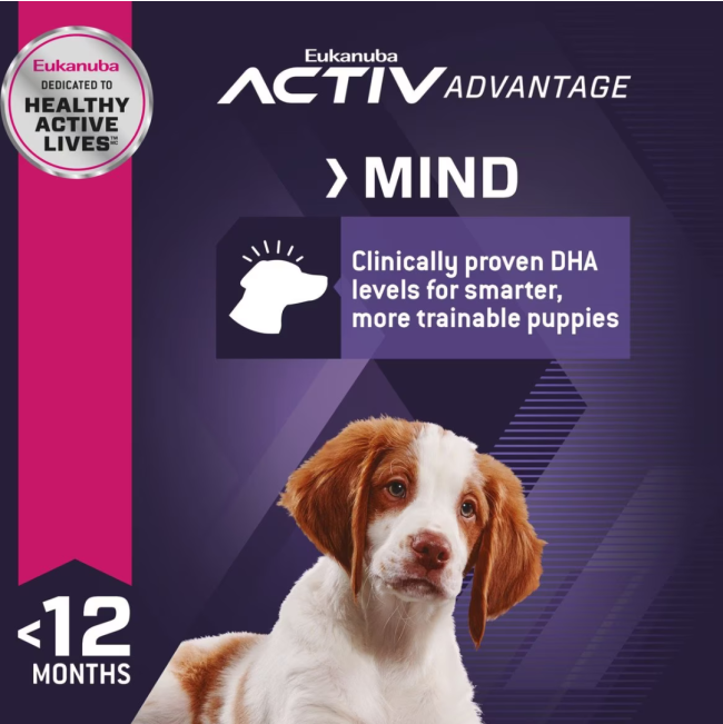 Eukanuba Medium Breed Puppy Food active mind