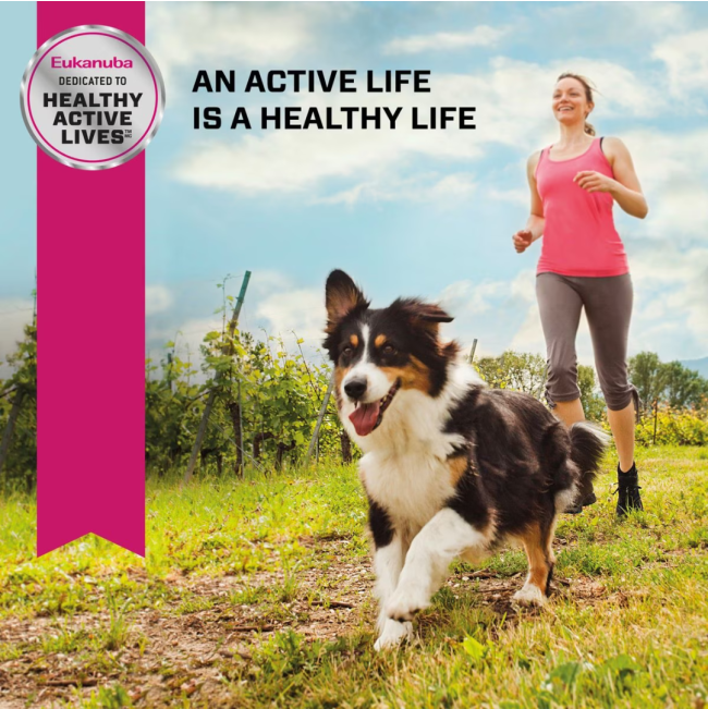 Eukanuba Senior Medium Breed Dog Food maintain an active and healthy life