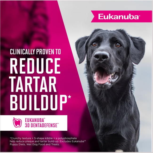 Eukanuba Senior Medium Breed Dog Food reducee tartar
