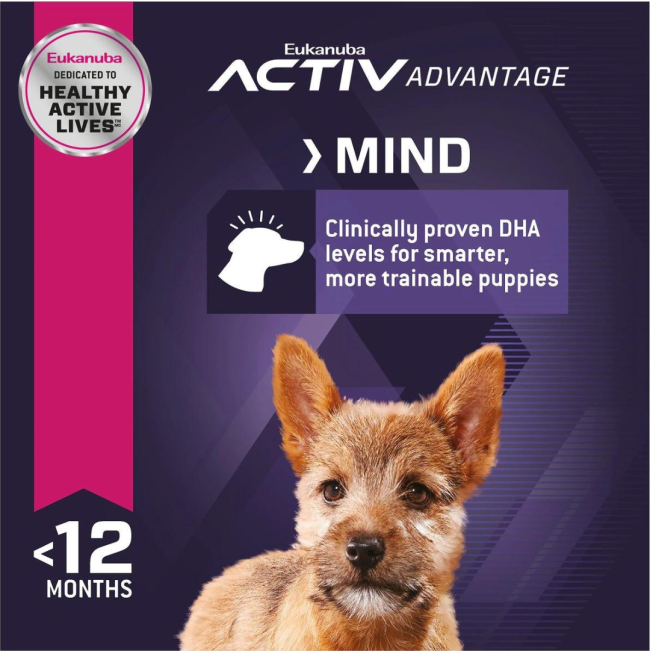 Eukanuba Small Breed Puppy Food active mind