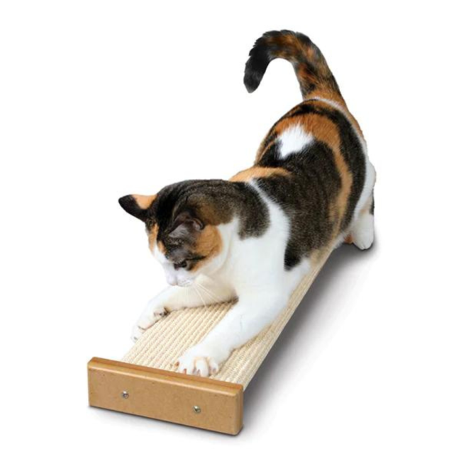 SmartCat Bootsie's Combination Cat Scratcher with cat