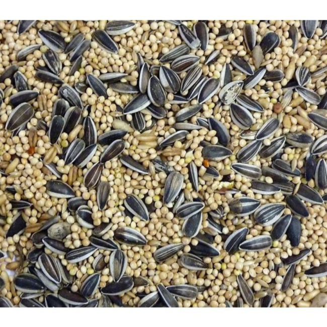 Westermans Bird Seed Cockatiel Mix actual product