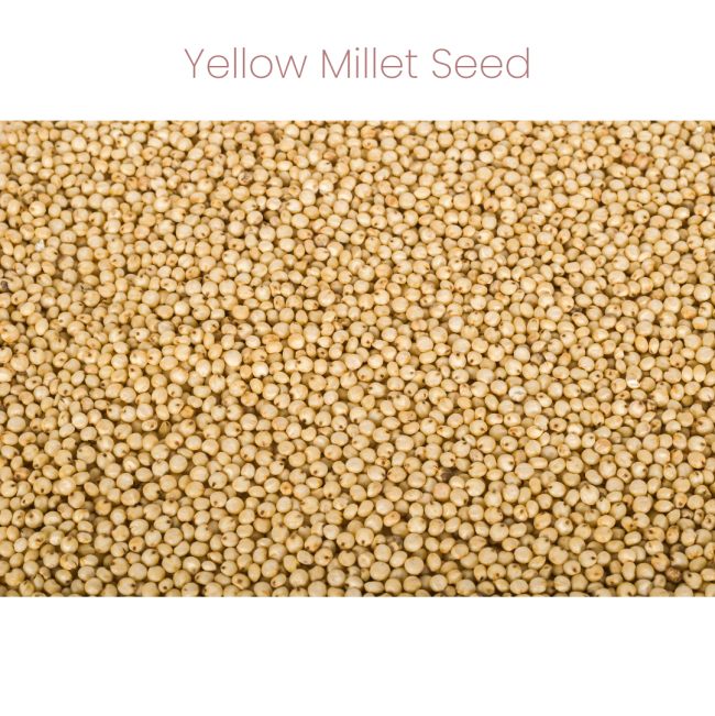 Westermans Bird Seed Cockatiel Mix yellow millet seed