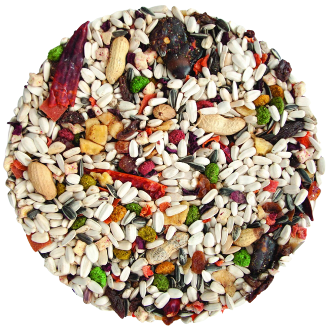 Westermans Bird Parrot Healthy Mix actual food mix