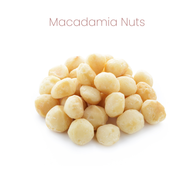 Westermans Bird Parrot Healthy Mix macadamia nuts