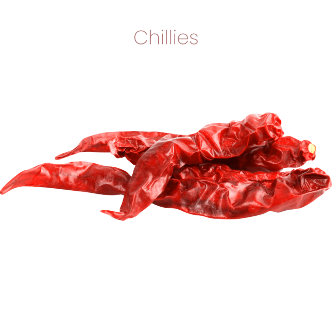 Westermans Bird Parrot Healthy Mix with chilies