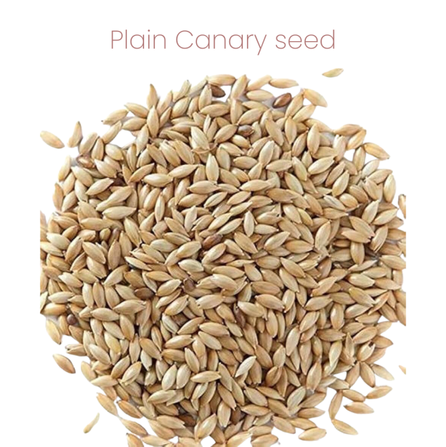Westermans Bird Seed Canary Plain Mix with plain canary seed