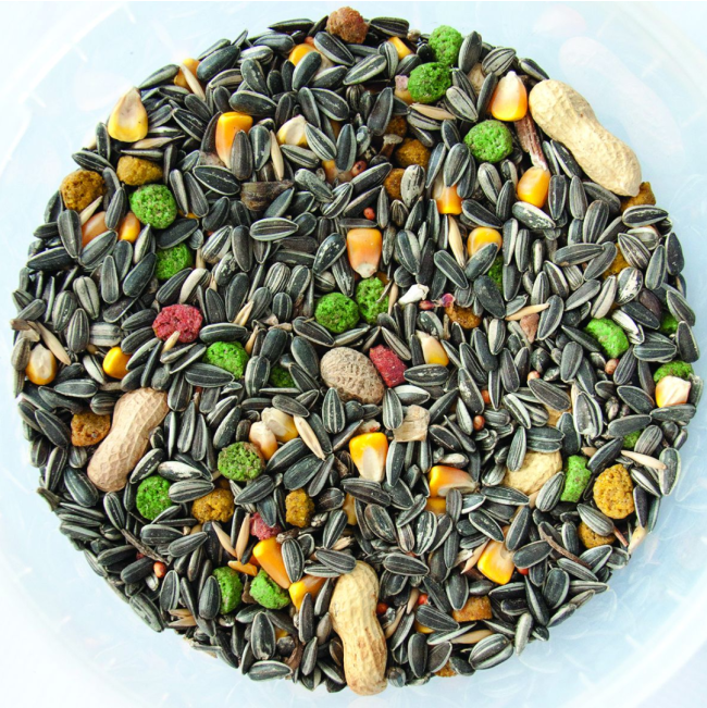 Westermans Bird Parrot Mix actual mix in bucket