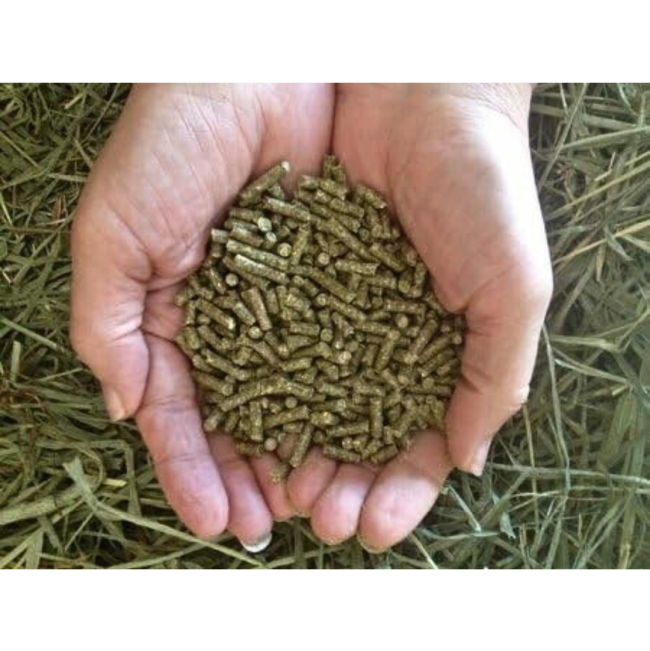 Westermans Small Animal Rabbit Pellets in human hand
