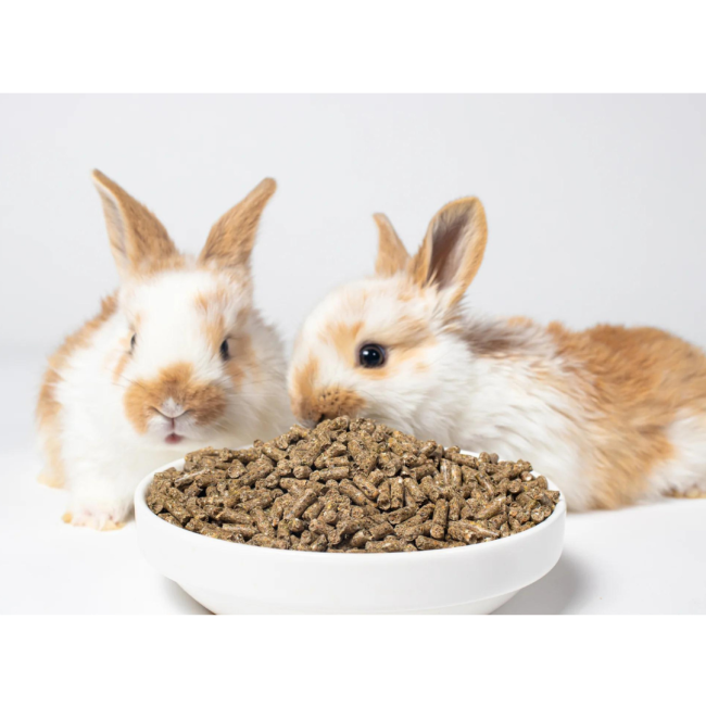 Westermans Small Animal Rabbit Pellets with rabbits next to bowl