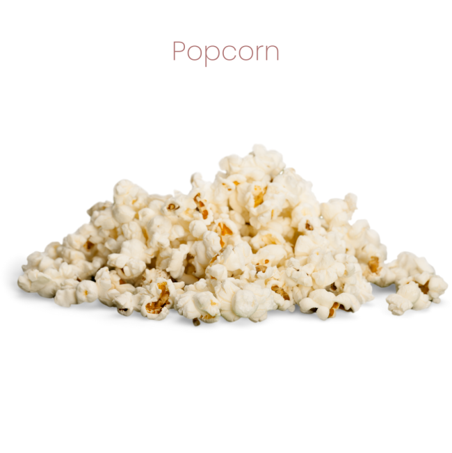 Westermans Bird Seed Tropical Parrot wwith popcorn
