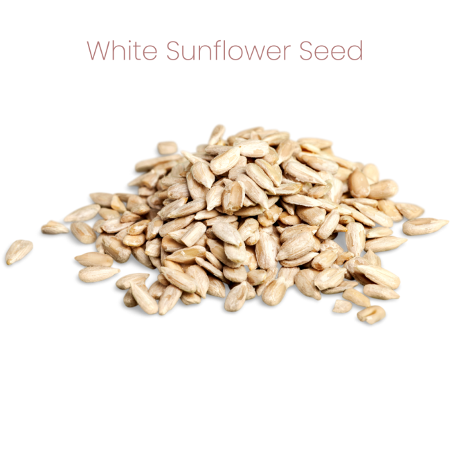 Westermans Bird Seed White Sunflower seed