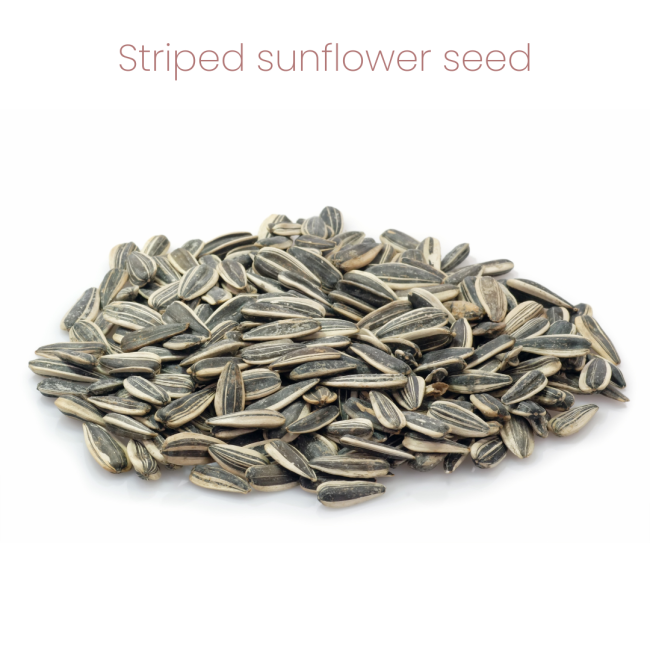 Westermans Small Animal Hamster Mix with striped sunflower seed