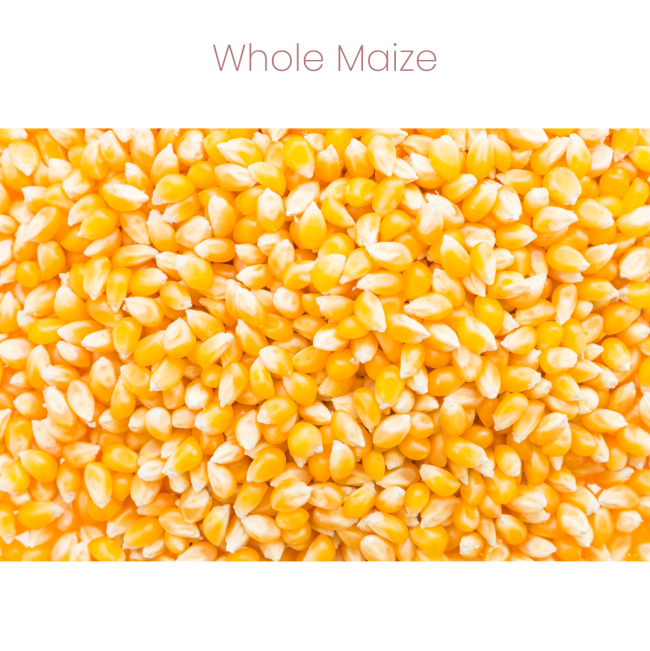 Westermans Small Animal Hamster Mix with whole maize