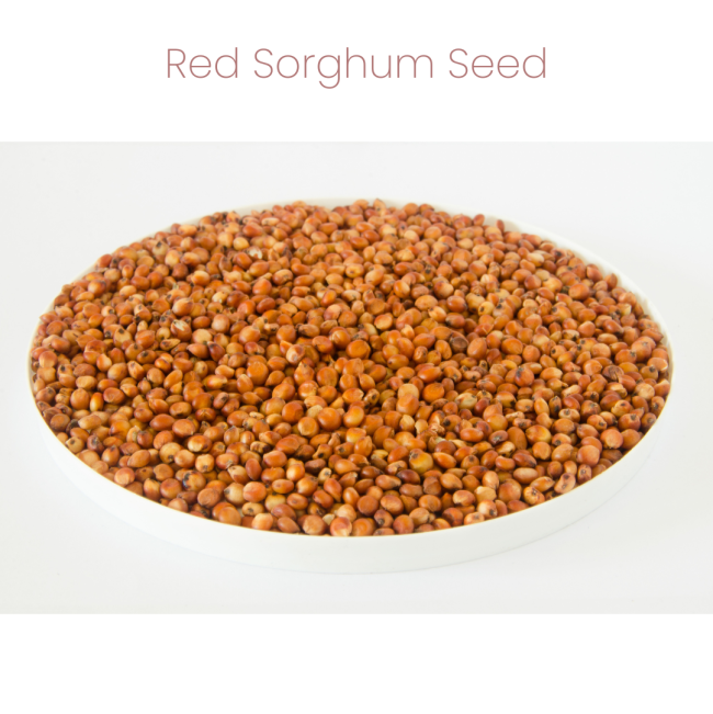 Westermans Small Animal Hamster Mix with red sorghum
