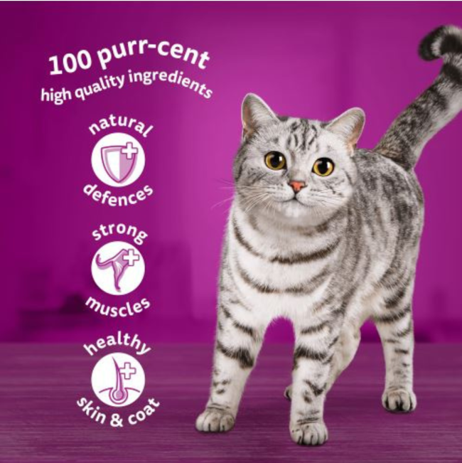 Whiskas Wet Adult Cat Food In Jelly - Mixed Menu Fish & Meat Selection quality ingredients