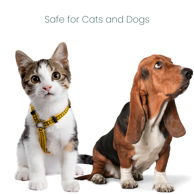 Mobiflex-C Joint Supplement safe for Cats and Dogs