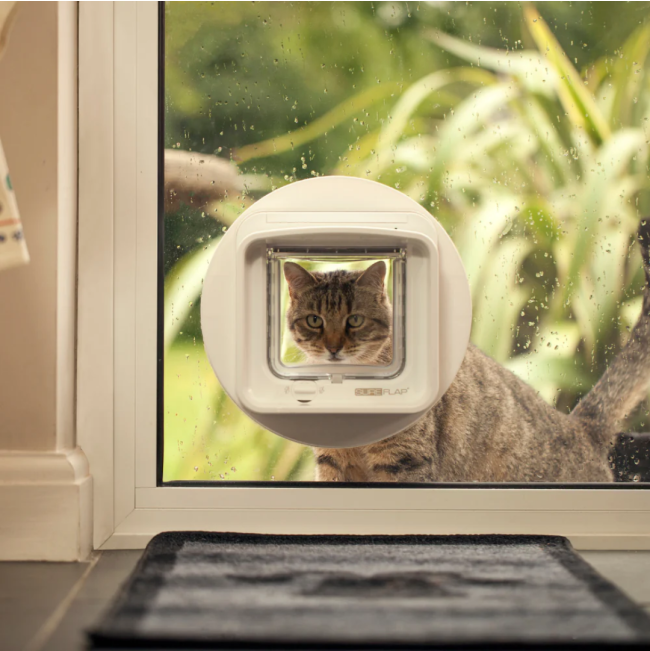 Sureflap Microchip Dualscan Cat Flap lifestyle with cat and door installed in glass
