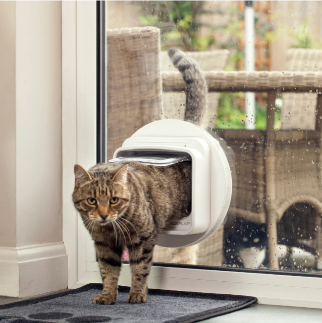 Sureflap Microchip Dualscan Cat Flap lifestyle with cat coming through the door