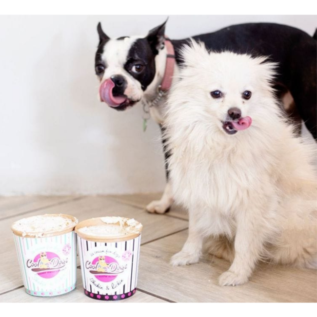 Cool Dogs Ice-Cream for Dogs lifestyle with white and black dogs licking their lips