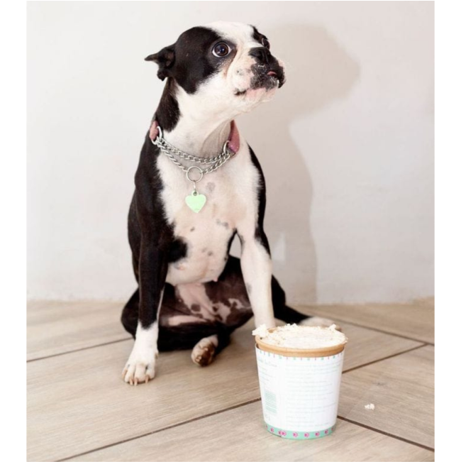 Cool Dogs Ice-Cream for Dogs with black dog sitting by tub