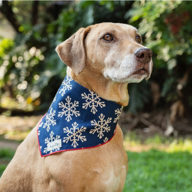 Christmas Snow Flakes Bandana Lifestyle with brown dog