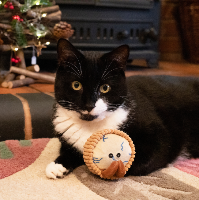 Classic Cheeseboard Trio For Cats lifestyle with black and white cat and the Stilton