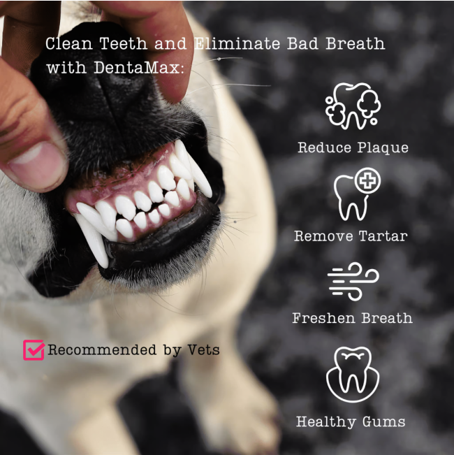 NutriFlex DentaMax Powder For Dogs and Cats benefits