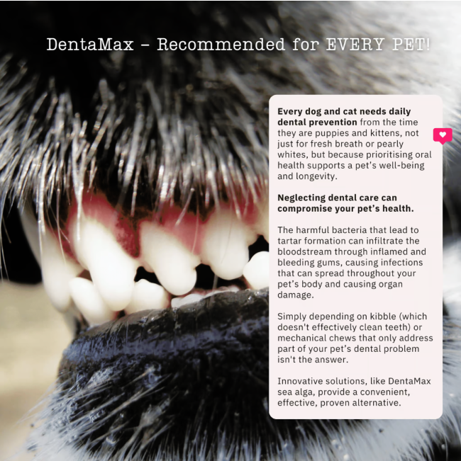 NutriFlex DentaMax Powder For Dogs and Cats for every pet