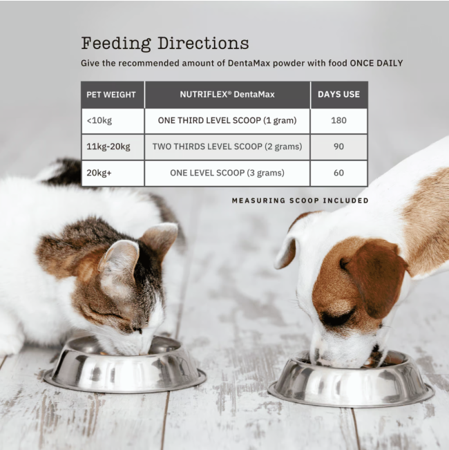 NutriFlex DentaMax Powder For Dogs and Cats feeding guide