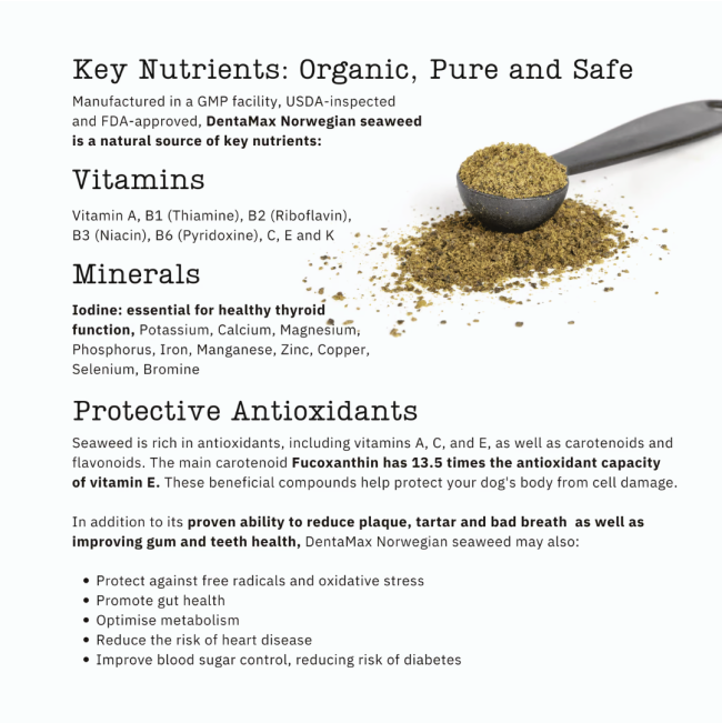 NutriFlex DentaMax Powder For Dogs and Cats ingredients
