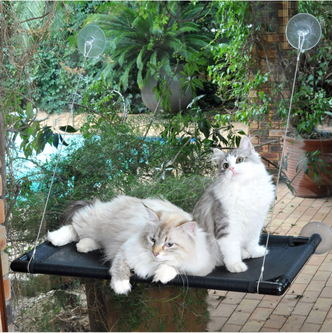 zaBed Window Hammock lifestyle with white and grey cats