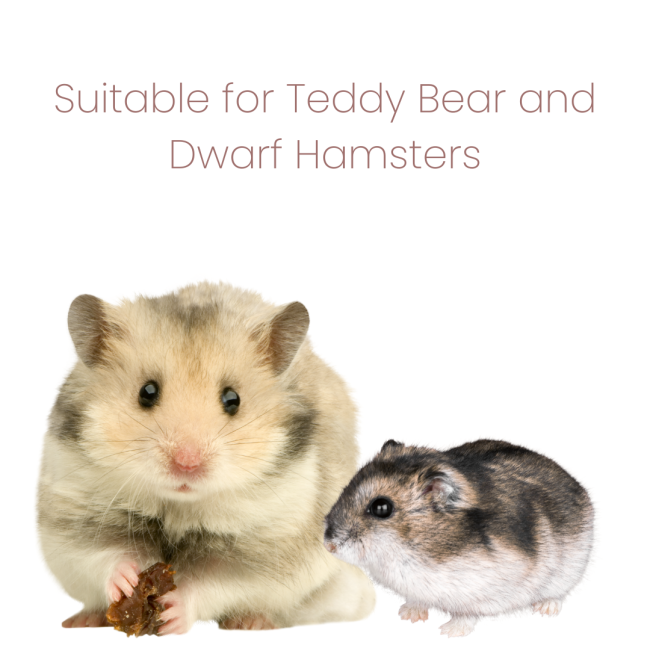 Animal Zone Hamster Food suitable for dwarf and teddy bear hamsters