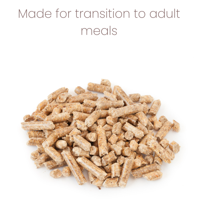 Animal Zone Parrot Soft Food for Weaning made to help transition to adult pellets